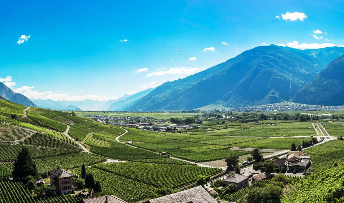 Domaine Dussex Domaine Dussex