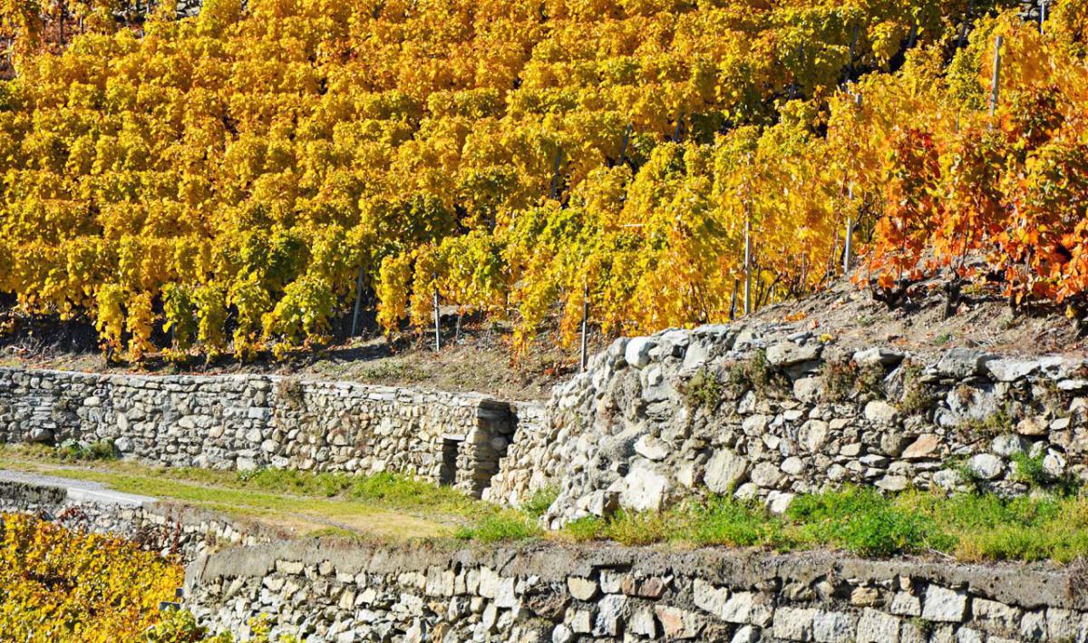 Cave Florian Besse Cave Florian Besse