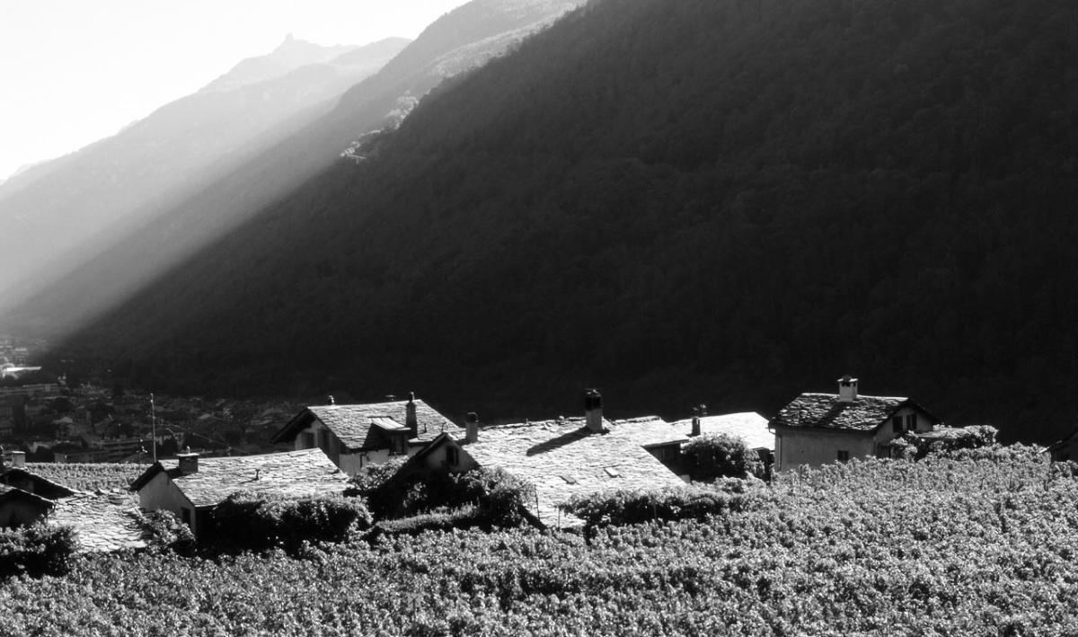 Cave Florian Besse Cave Florian Besse