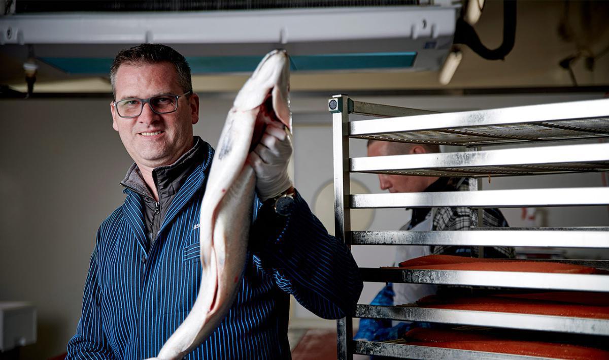 Borex Poissons Borex Poissons