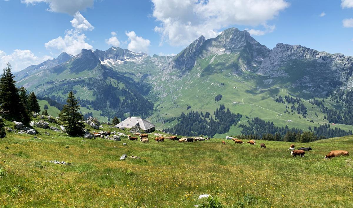 Ferme de la Chenaux Ferme de la Chenaux