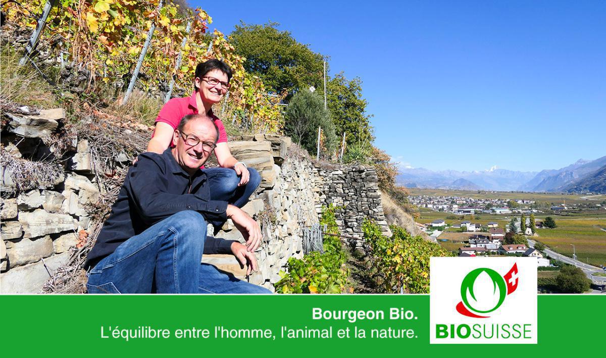 Cave le Bosset Cave le Bosset