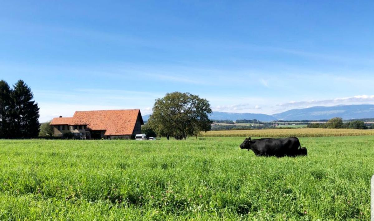 Le Renolly Ferme Bio Le Renolly Ferme Bio
