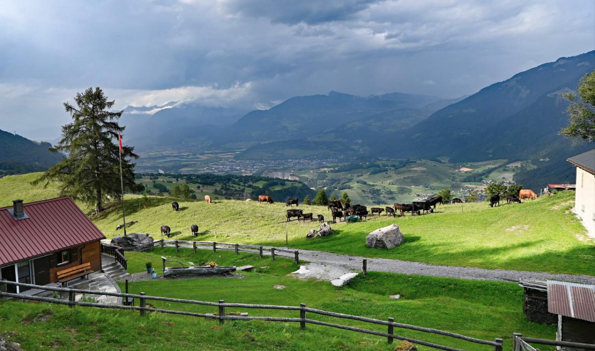 Domaine de Fontanasse Domaine de Fontanasse