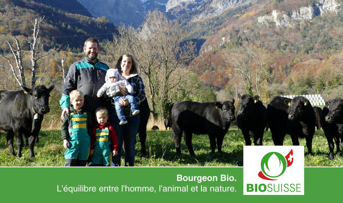 Domaine de Fontanasse Domaine de Fontanasse