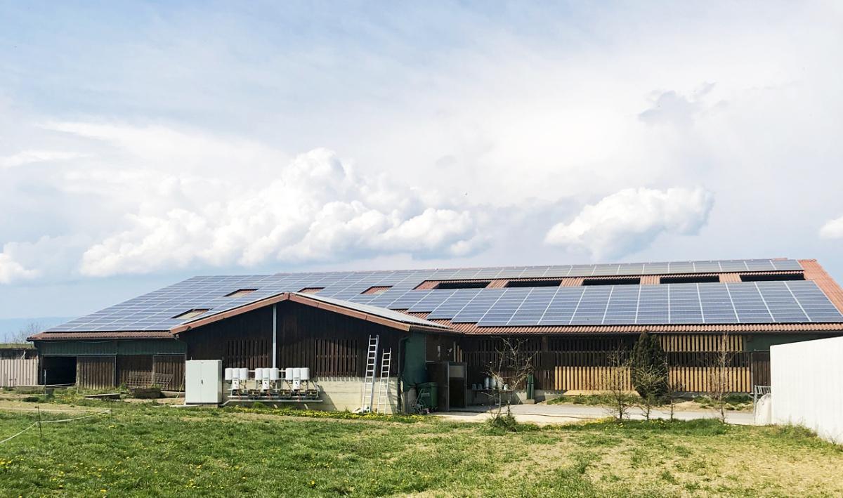 La Ferme de la Fenetta La Ferme de la Fenetta