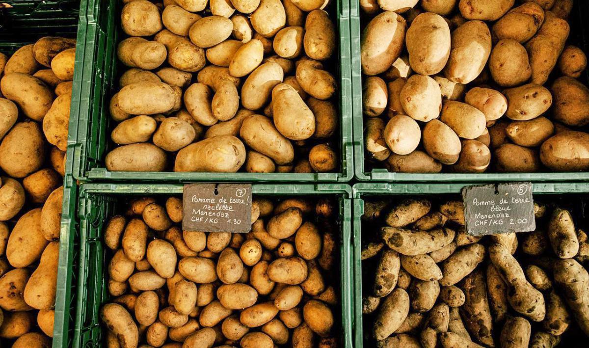 HO! Terroir HO! Terroir