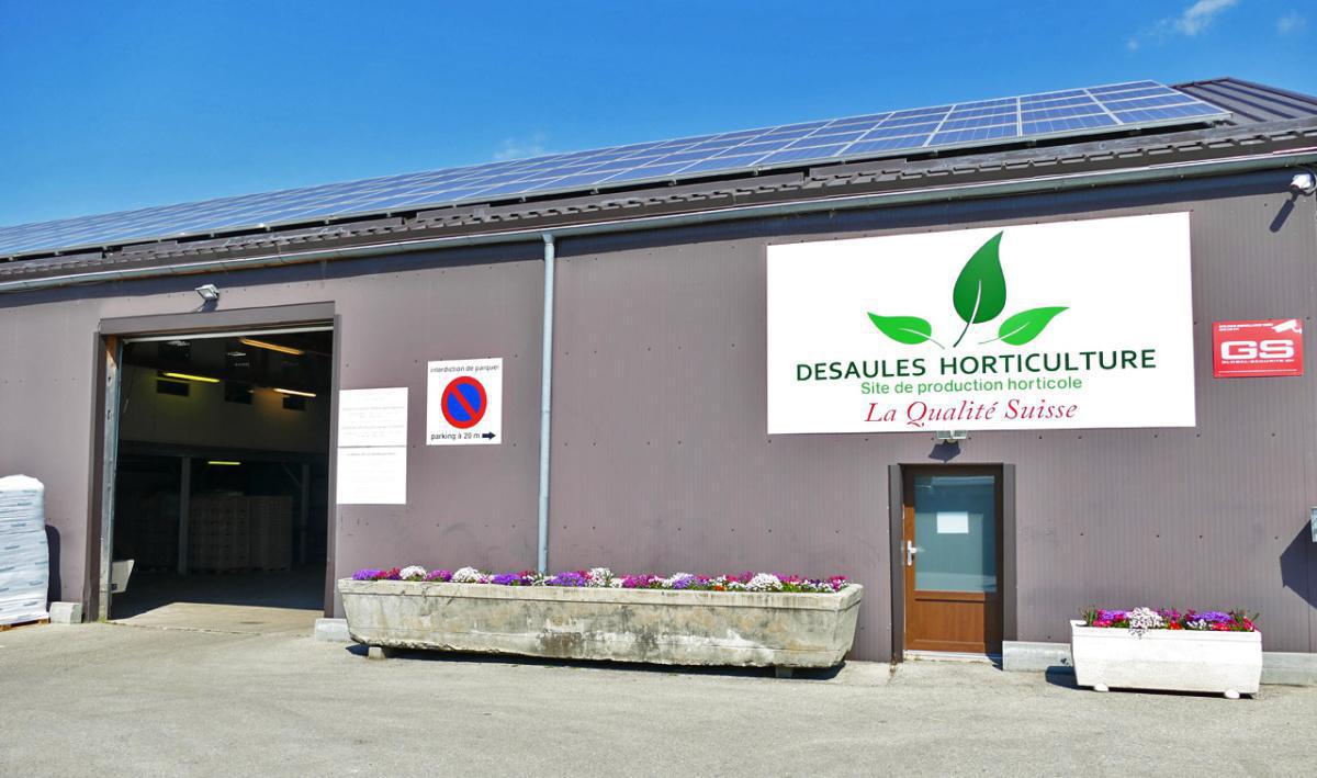 Jardinerie Desaules Jardinerie Desaules