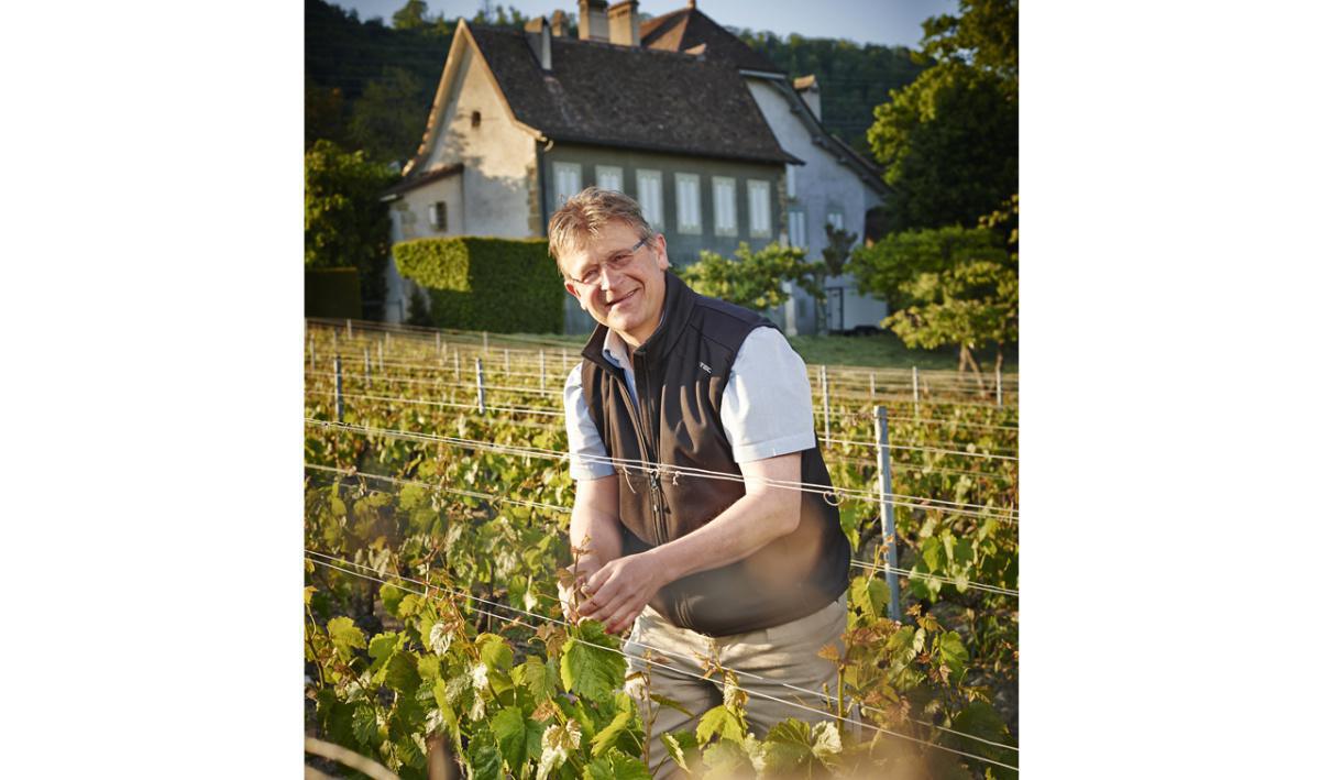 Château de Luins  Château de Luins