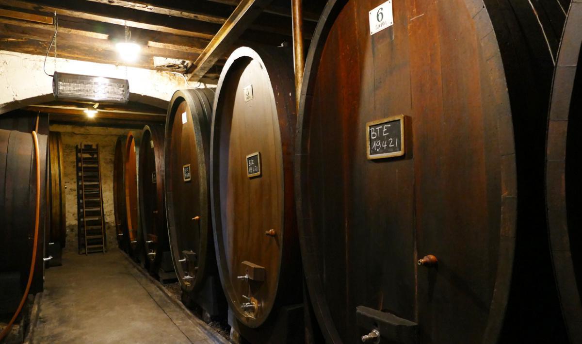 Château de Luins  Château de Luins