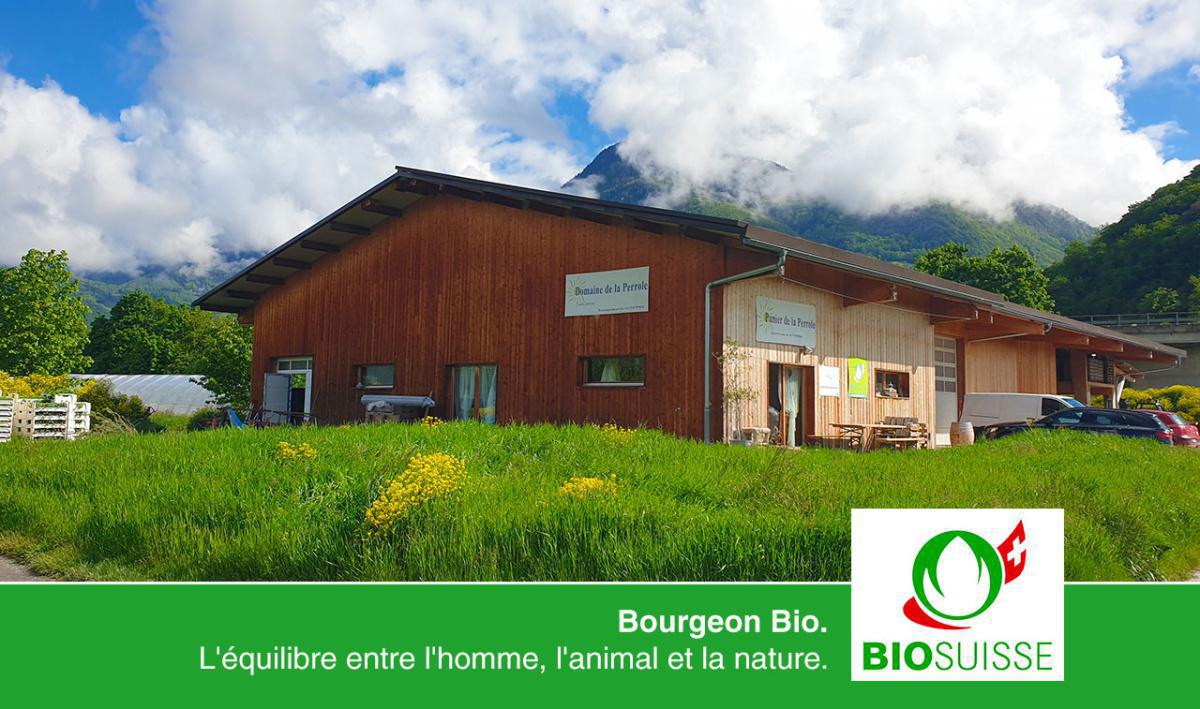 Domaine de la Perrole Domaine de la Perrole