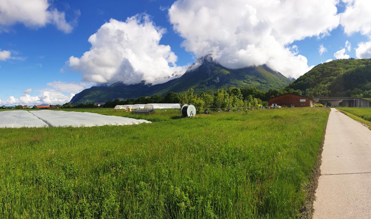 Domaine de la Perrole Domaine de la Perrole