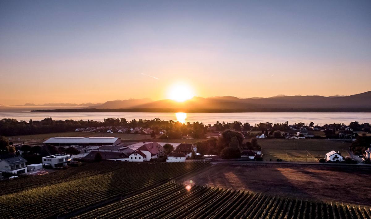 Fruitdefendu.ch Fruitdefendu.ch