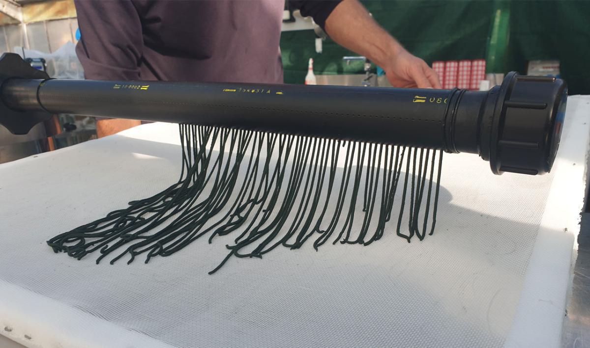 Spiruline Swiss Made Spiruline Swiss Made