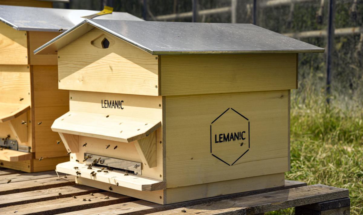 Rhum Lemanic