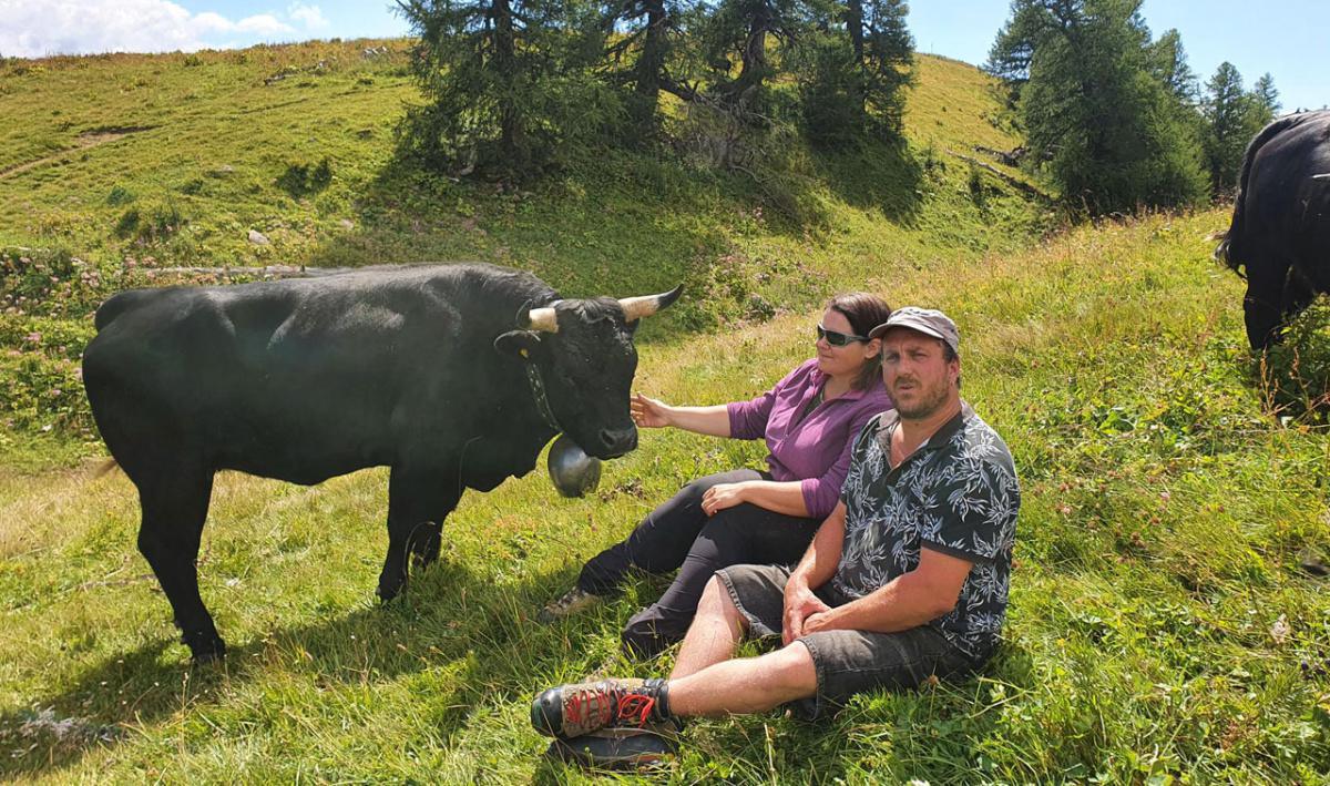 Vinte Direkt Vinte Direkt