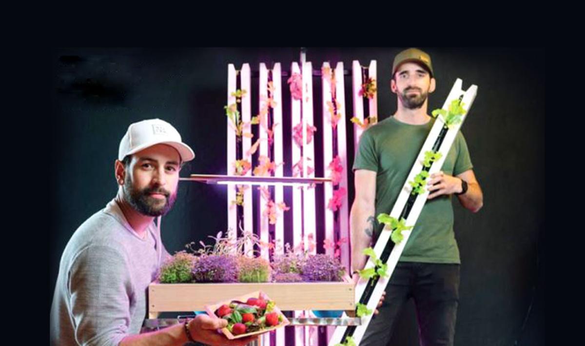 Swiss Vertical Farm Swiss Vertical Farm