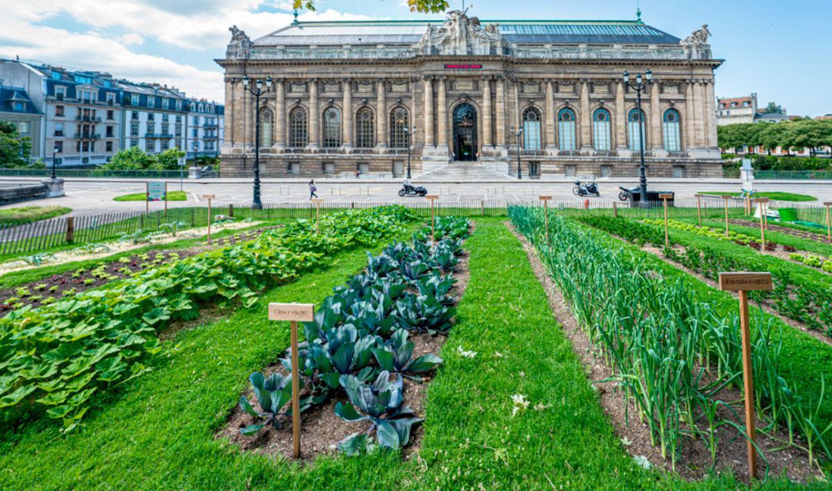 Légumes en Ville Légumes en Ville