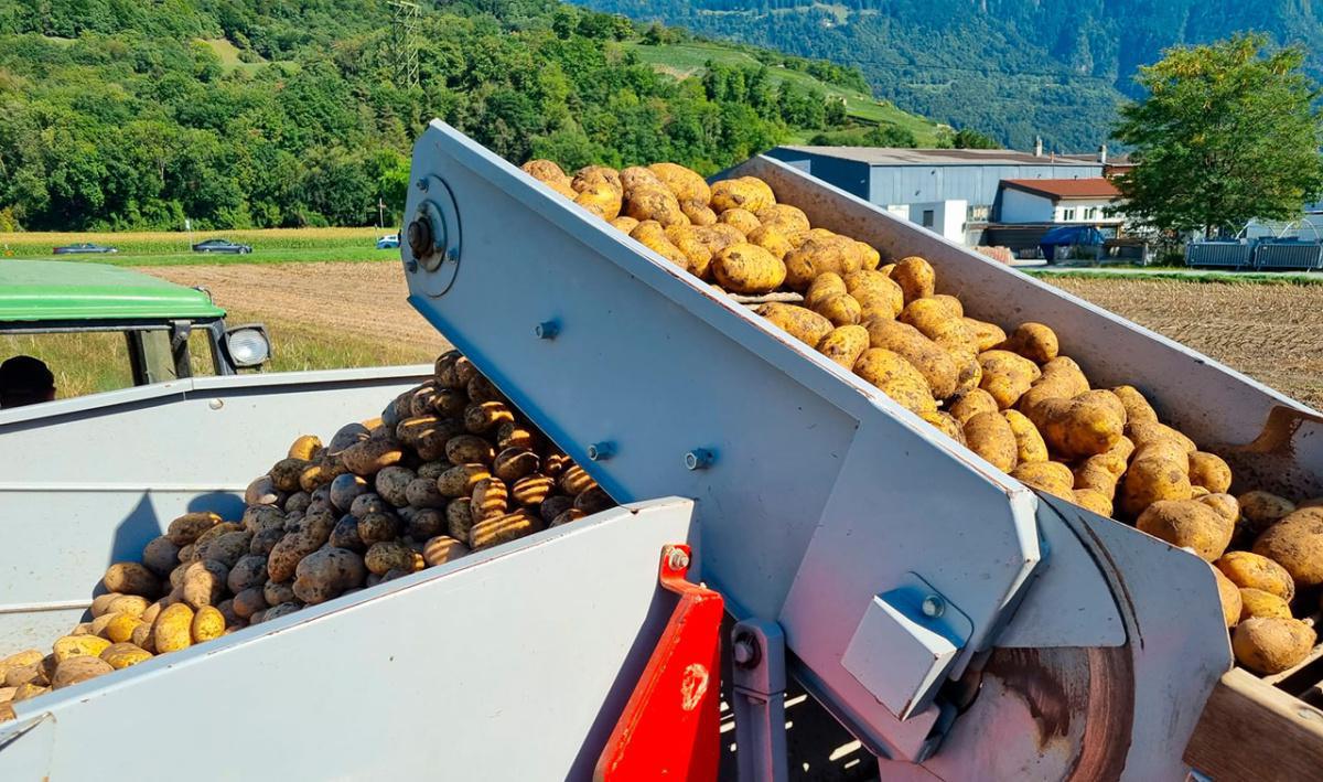 Ferme Schwizgebel Ferme Schwizgebel