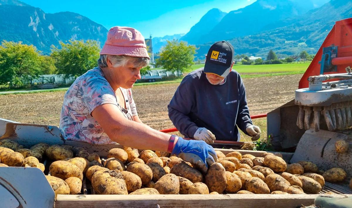 Ferme Schwizgebel Ferme Schwizgebel