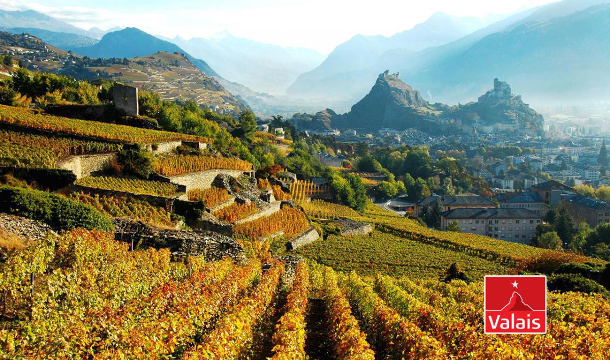 Caves ouvertes en Valais
