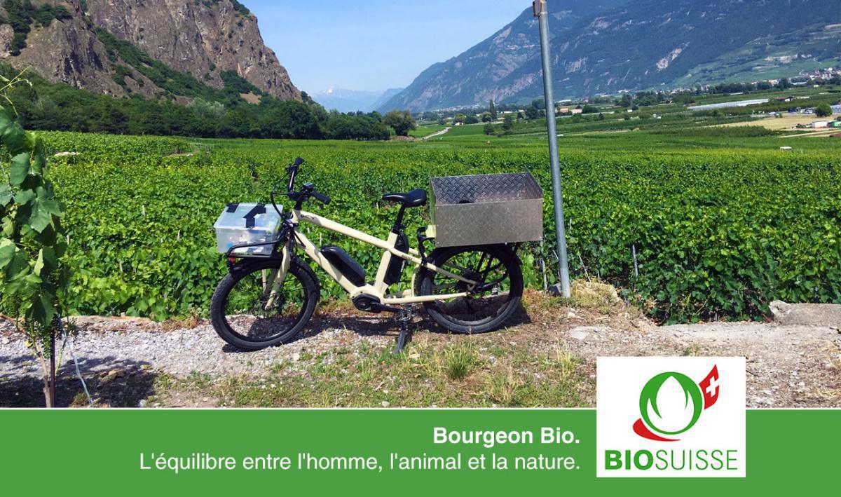 La Cave aux Chats La Cave aux Chats