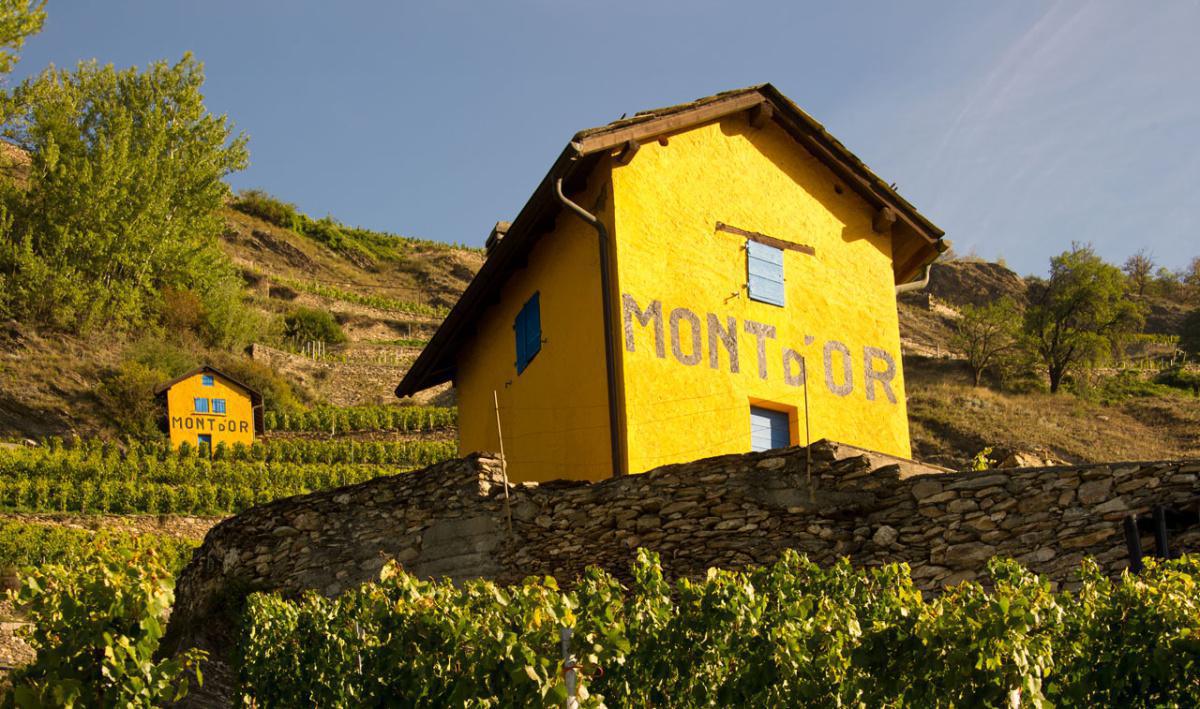 Domaine du Mont d'Or SA Domaine du Mont d'Or SA