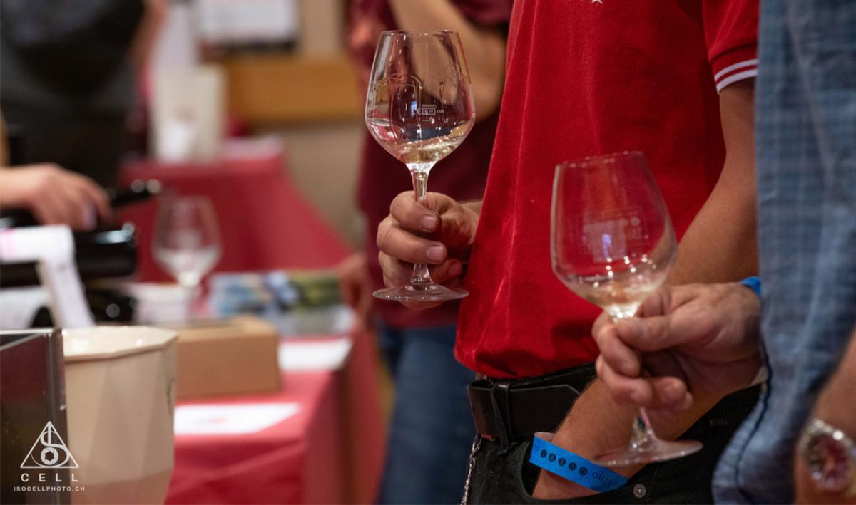 BioVino, salon et concours