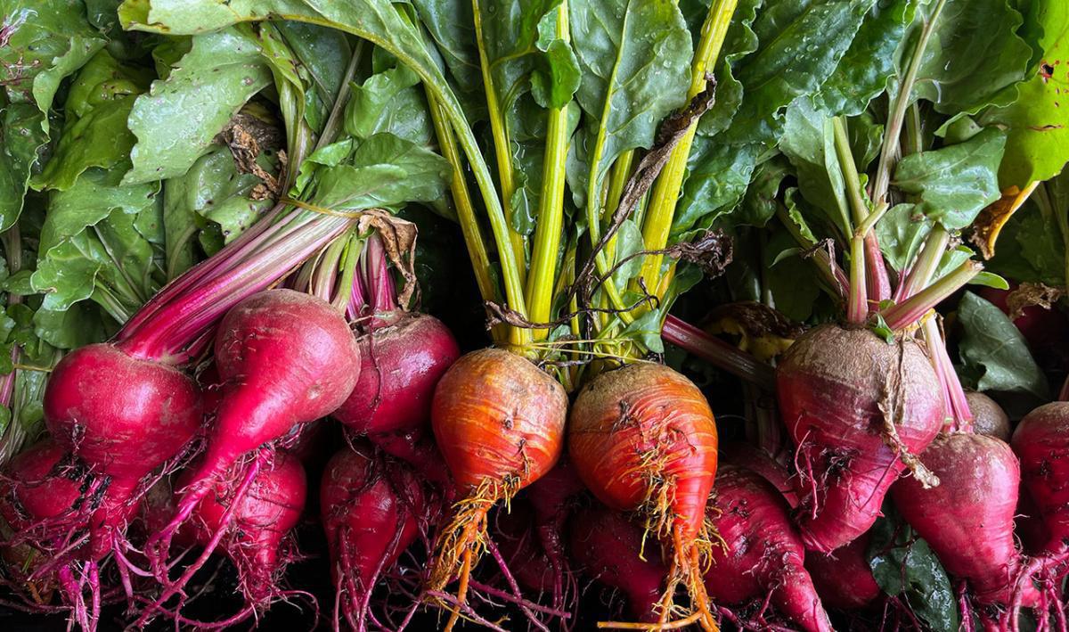 Domaine des Granges Domaine des Granges