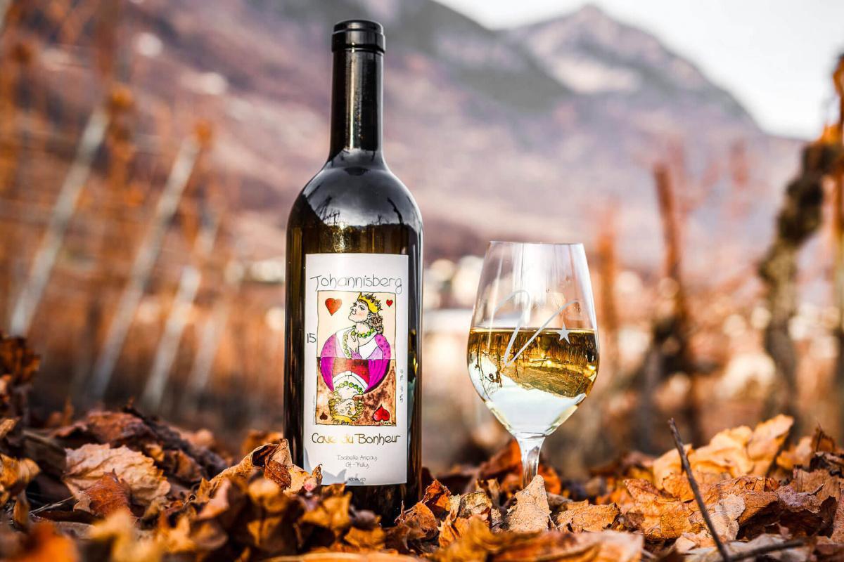 Dégustation & Raclette à la Cave du Paradis Dégustation & Raclette à la Cave du Paradis