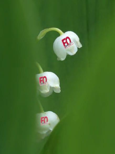 Bon 1er Mai