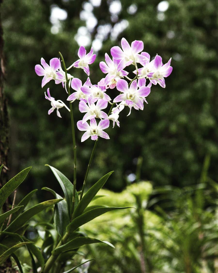 IMG_20181121_153023_126