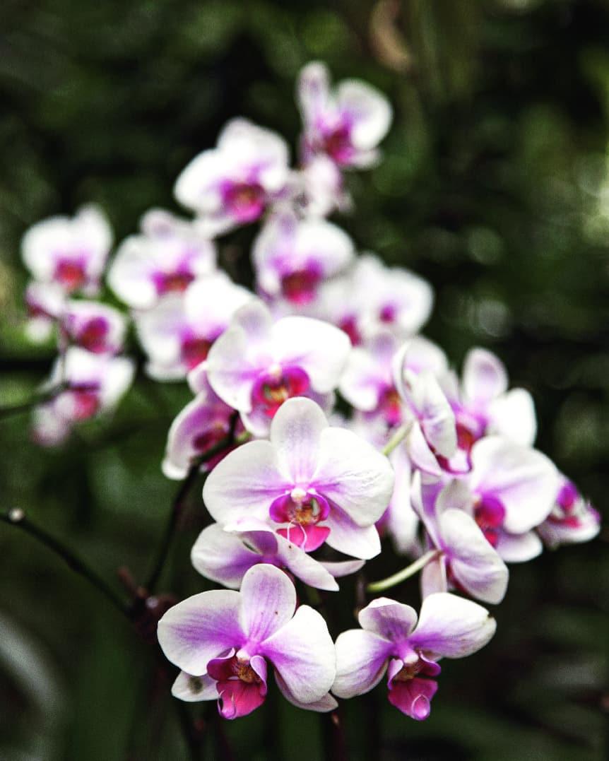 IMG_20181121_153023_120