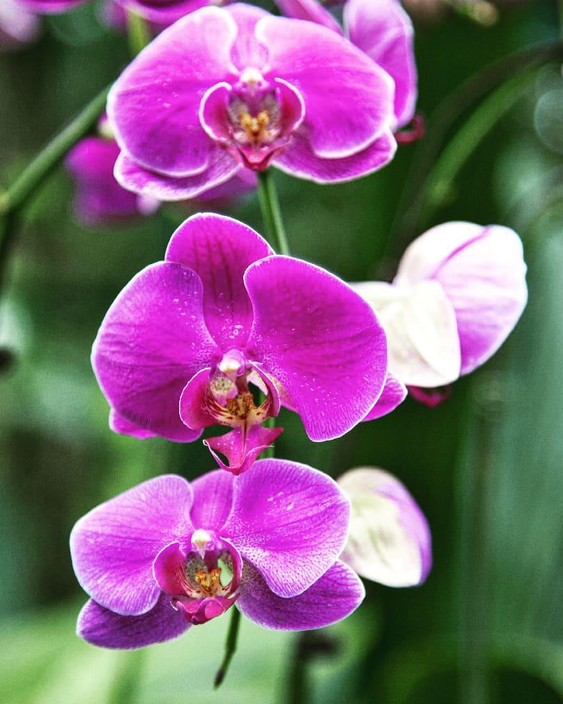 IMG_20181121_153023_119