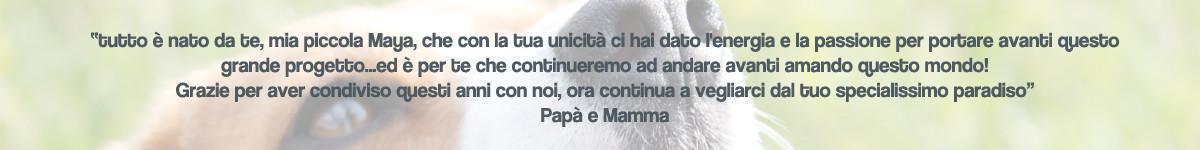 Orma di Maya
