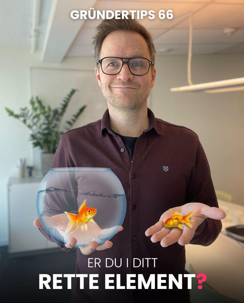 Er du I ditt rette element? Er du I ditt rette element?