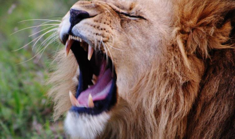 Vær blant de som ikke kan bli oppslukt