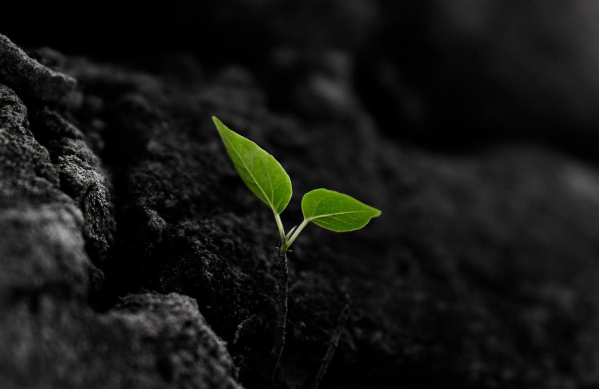 Waktu yang Tepat Waktu yang Tepat