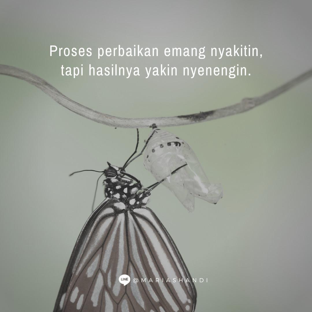 Metamorfosis Karakter
