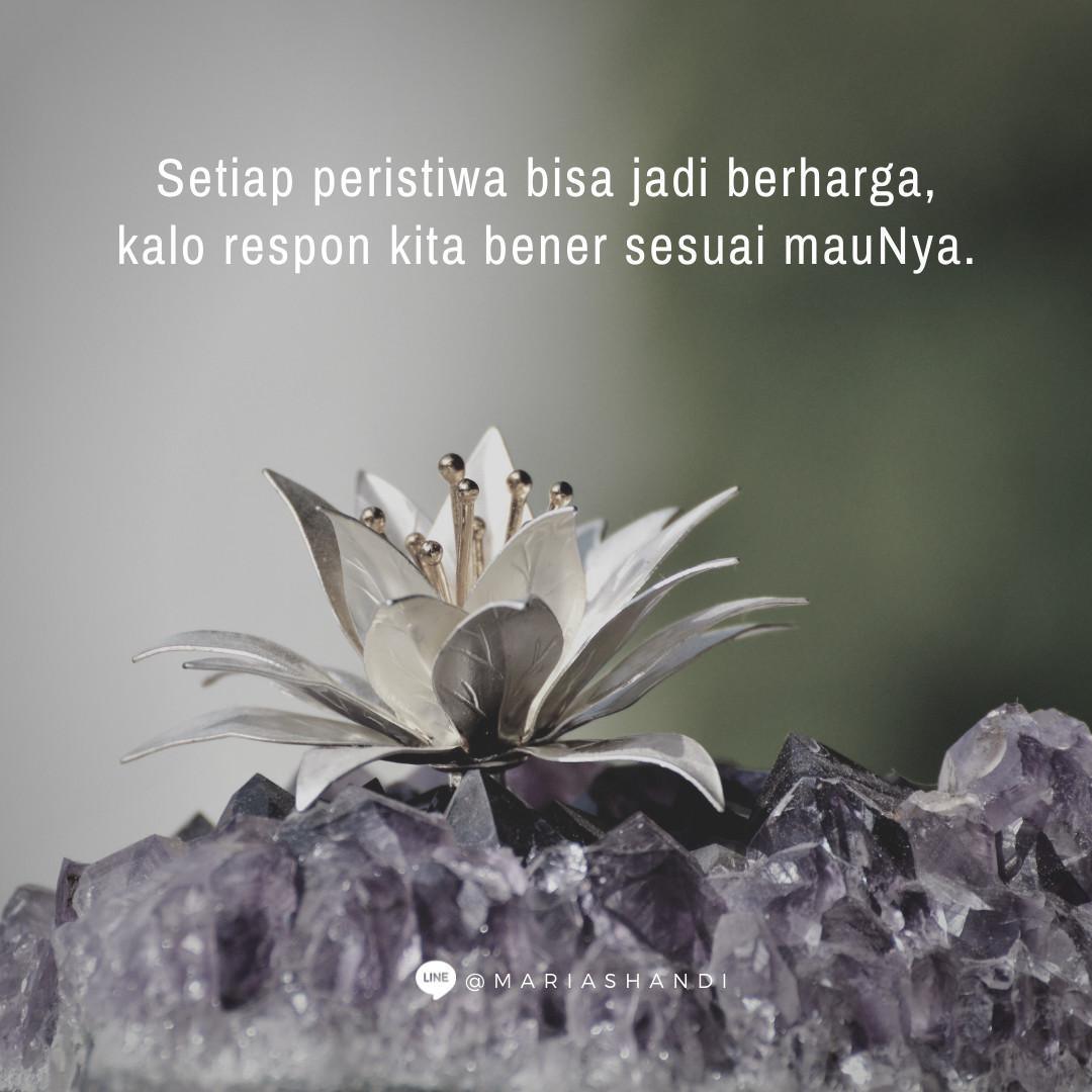 Precious Experiences