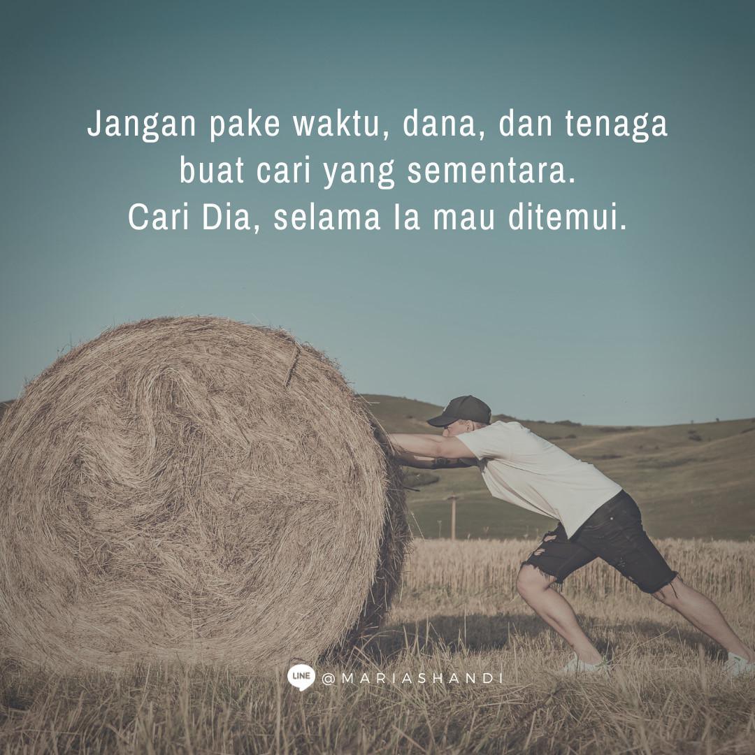 The Essential The Essential