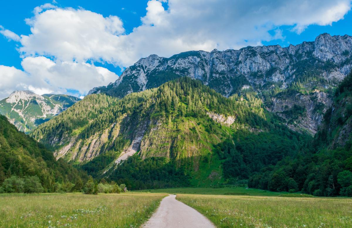 Kota di Puncak Kota di Puncak