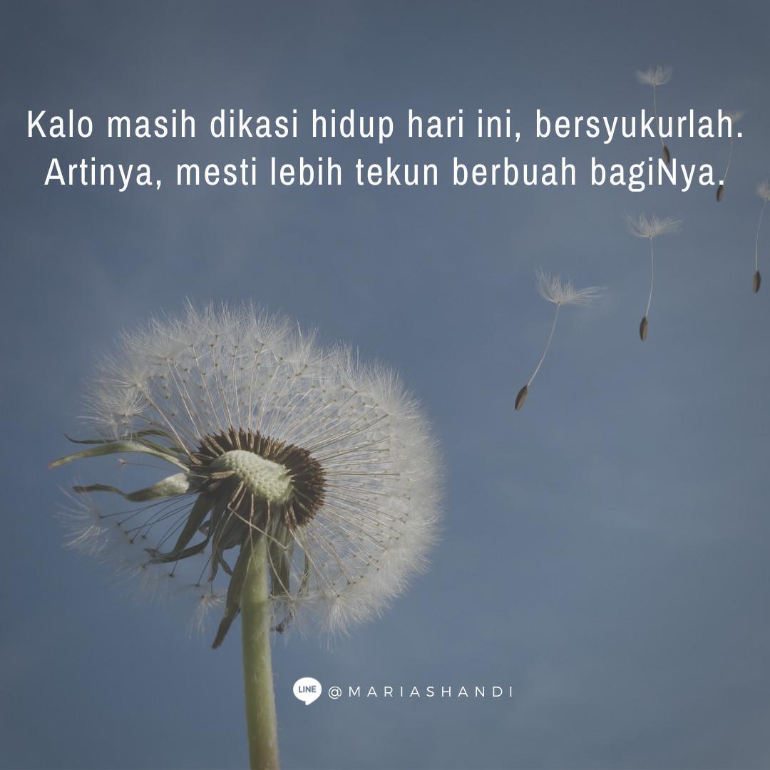 Satu Lagi