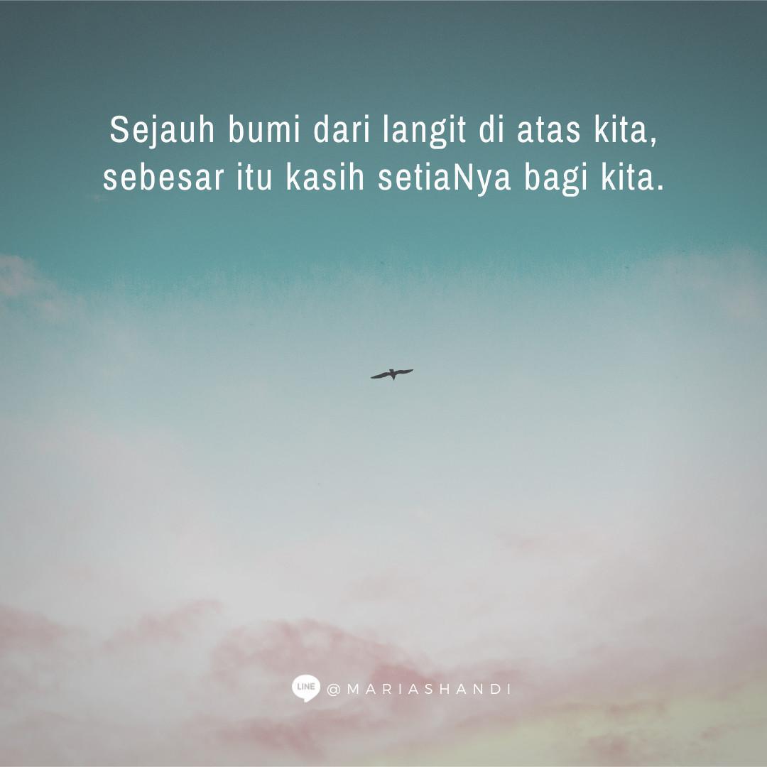 Hakim