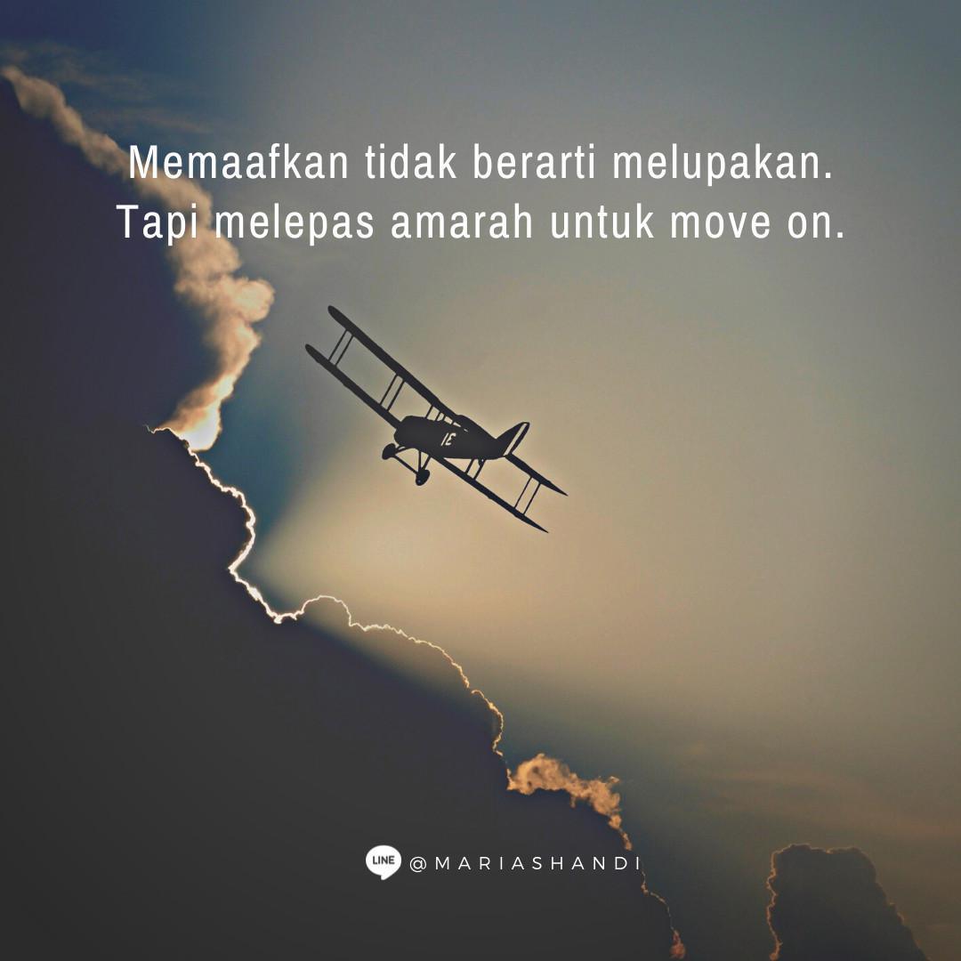 Sefruit Perbedaan
