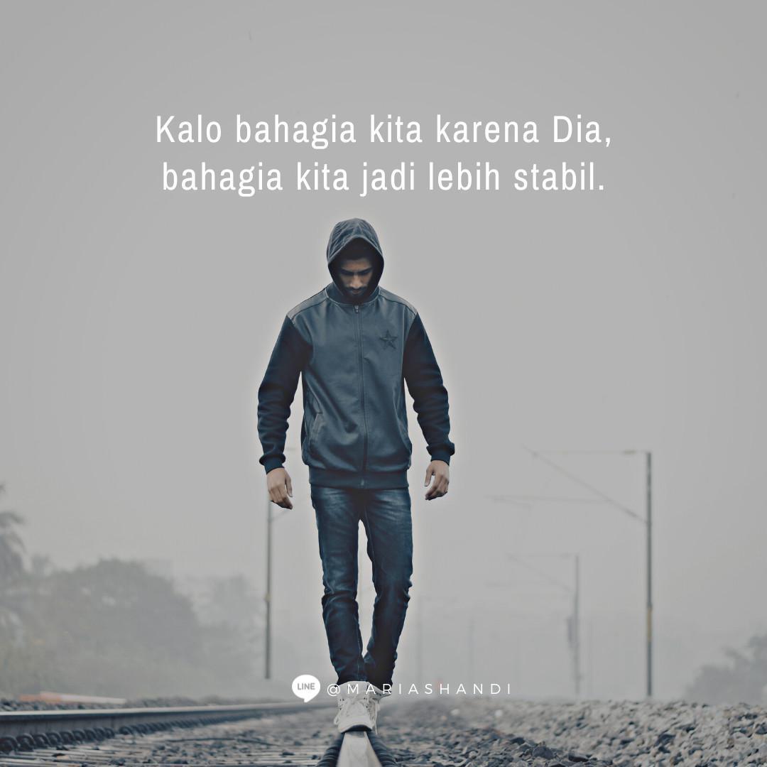 Joy Stabilizer Joy Stabilizer