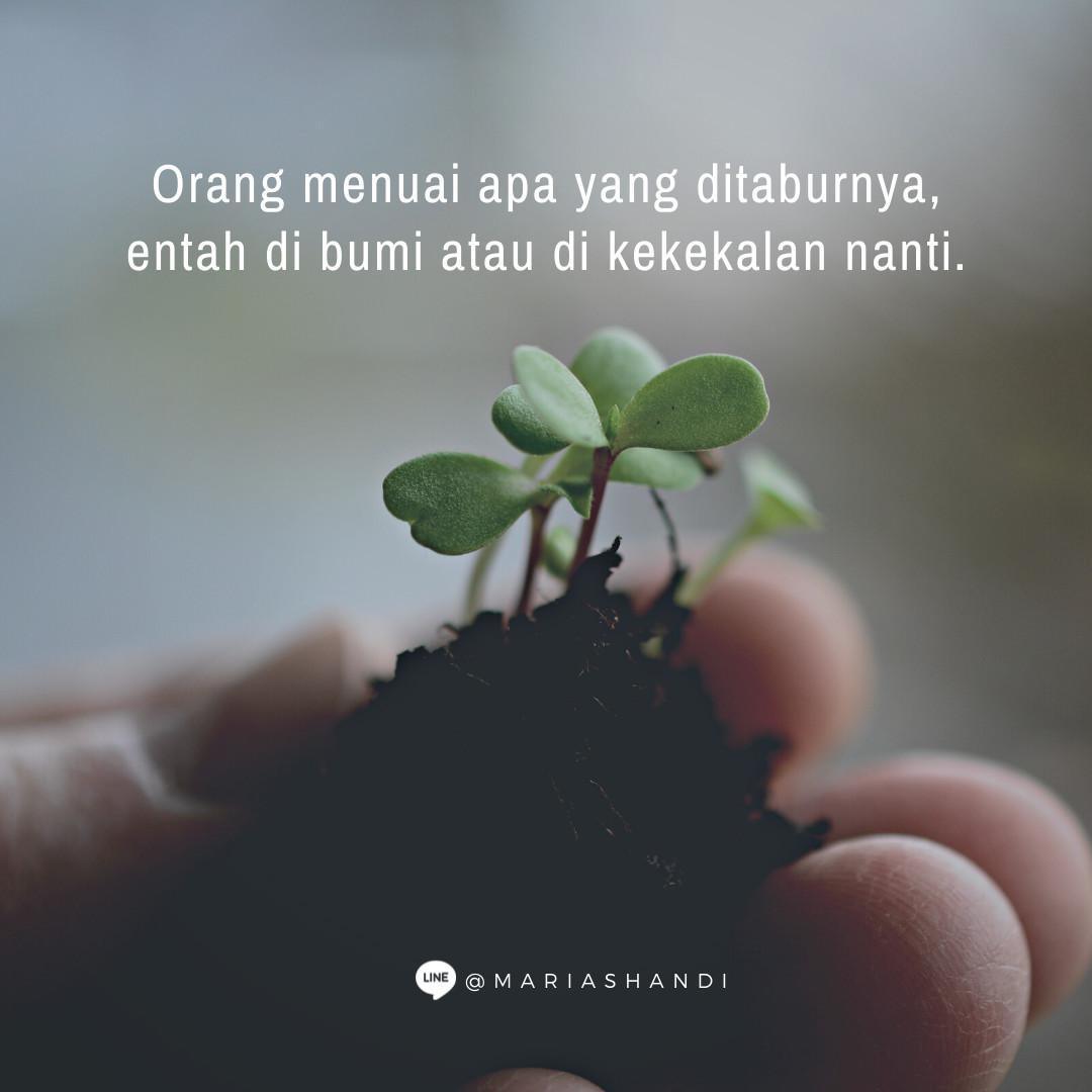 Tabur Tuai Tabur Tuai