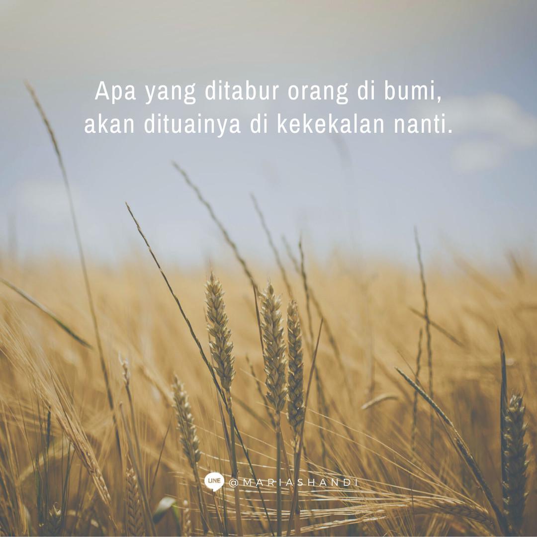 Tabur Tuai