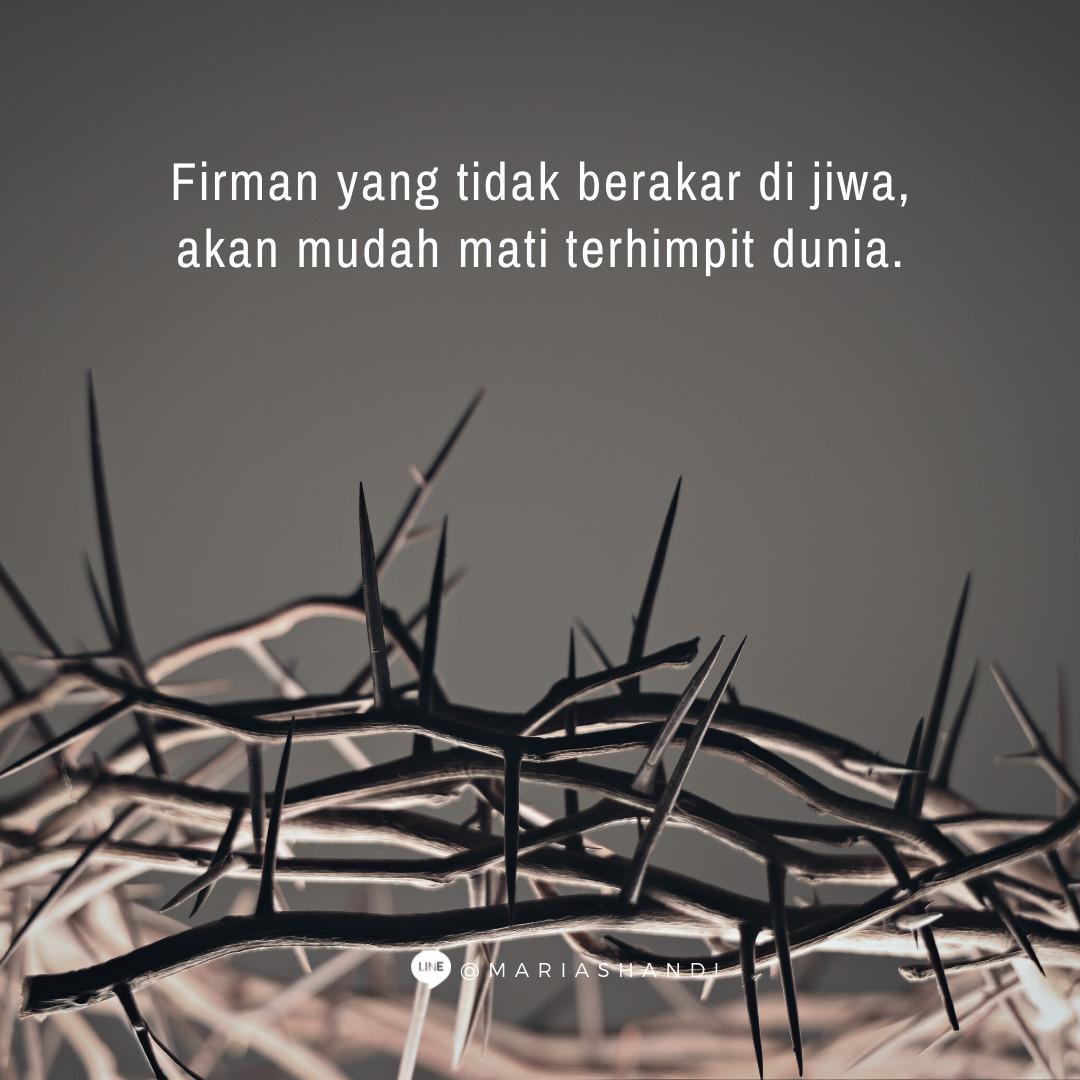 Semak Duri Semak Duri