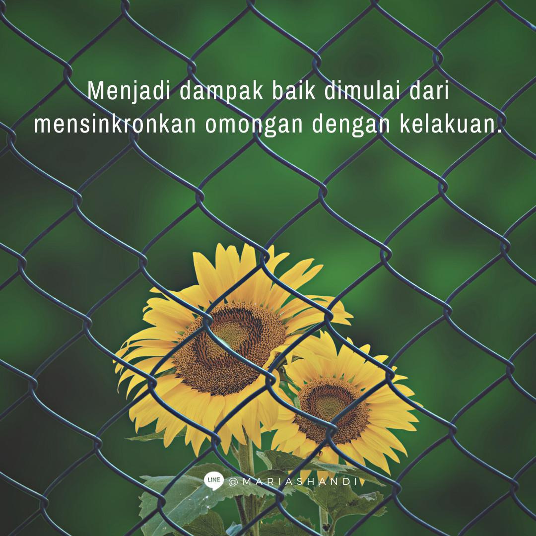 Synchronize Synchronize